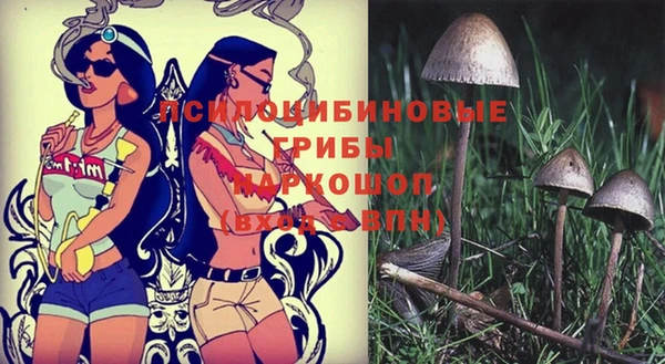 таблы Алзамай