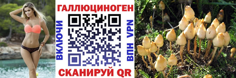 Галлюциногенные грибы Psilocybe  Железноводск 