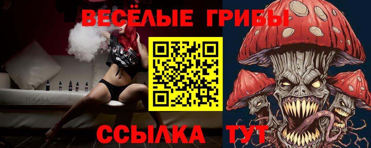 Галлюциногенные грибы прущие грибы  Псилоцибиновые грибы Psilocybe  Вход с VPN  Железноводск 